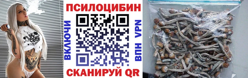 Купить где  Саратов  Галлюциногенные грибы Psilocybe 